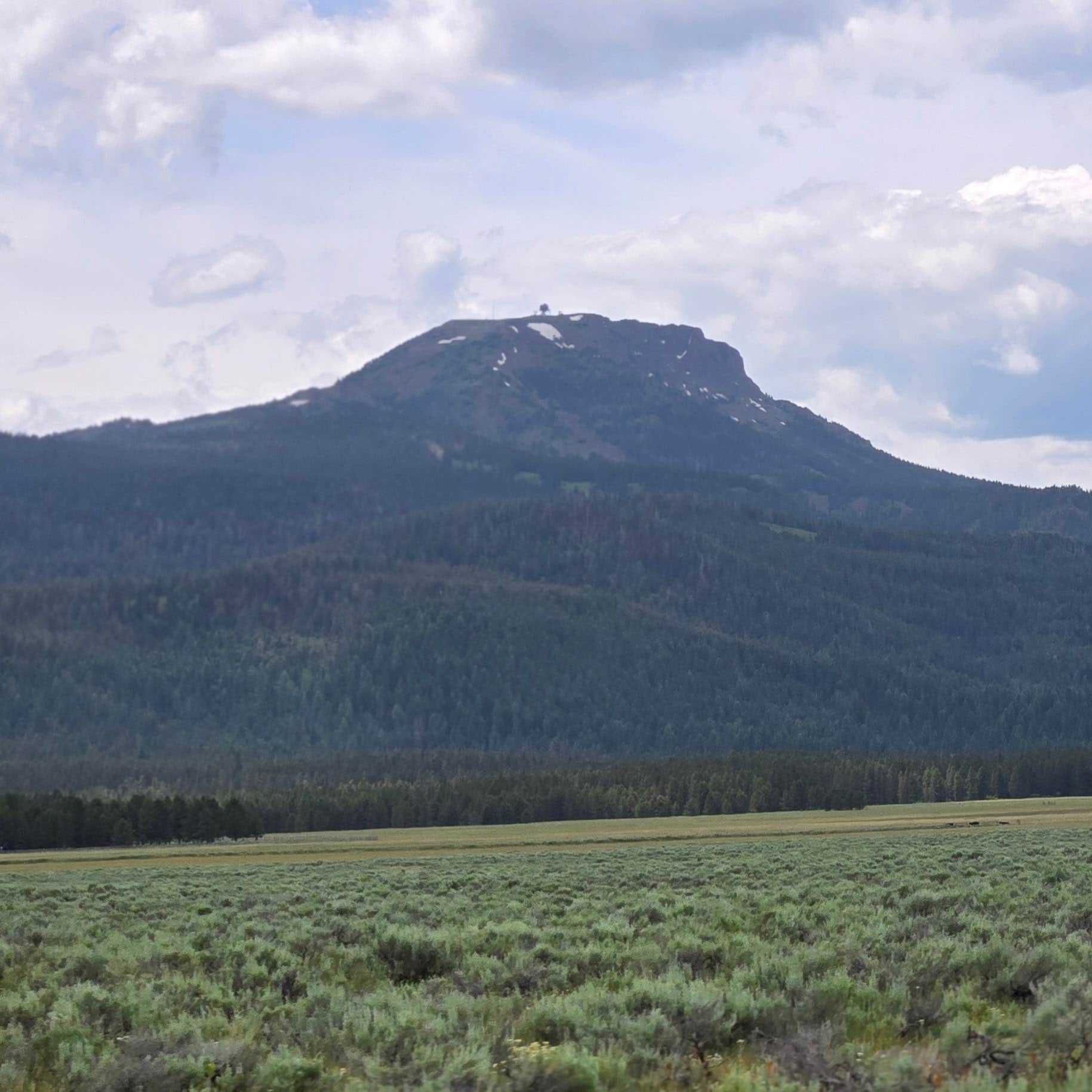 Camper submitted image from Baylor Canyon Rd Dispersed Site - 1