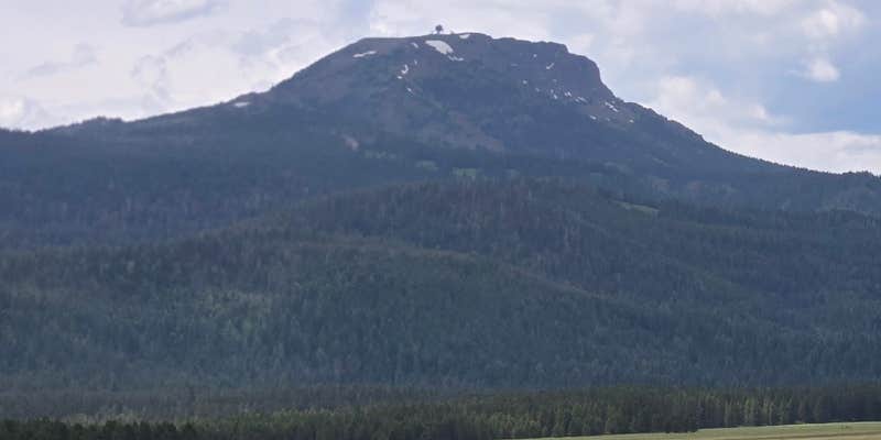 Camper submitted image from Baylor Canyon Rd Dispersed Site