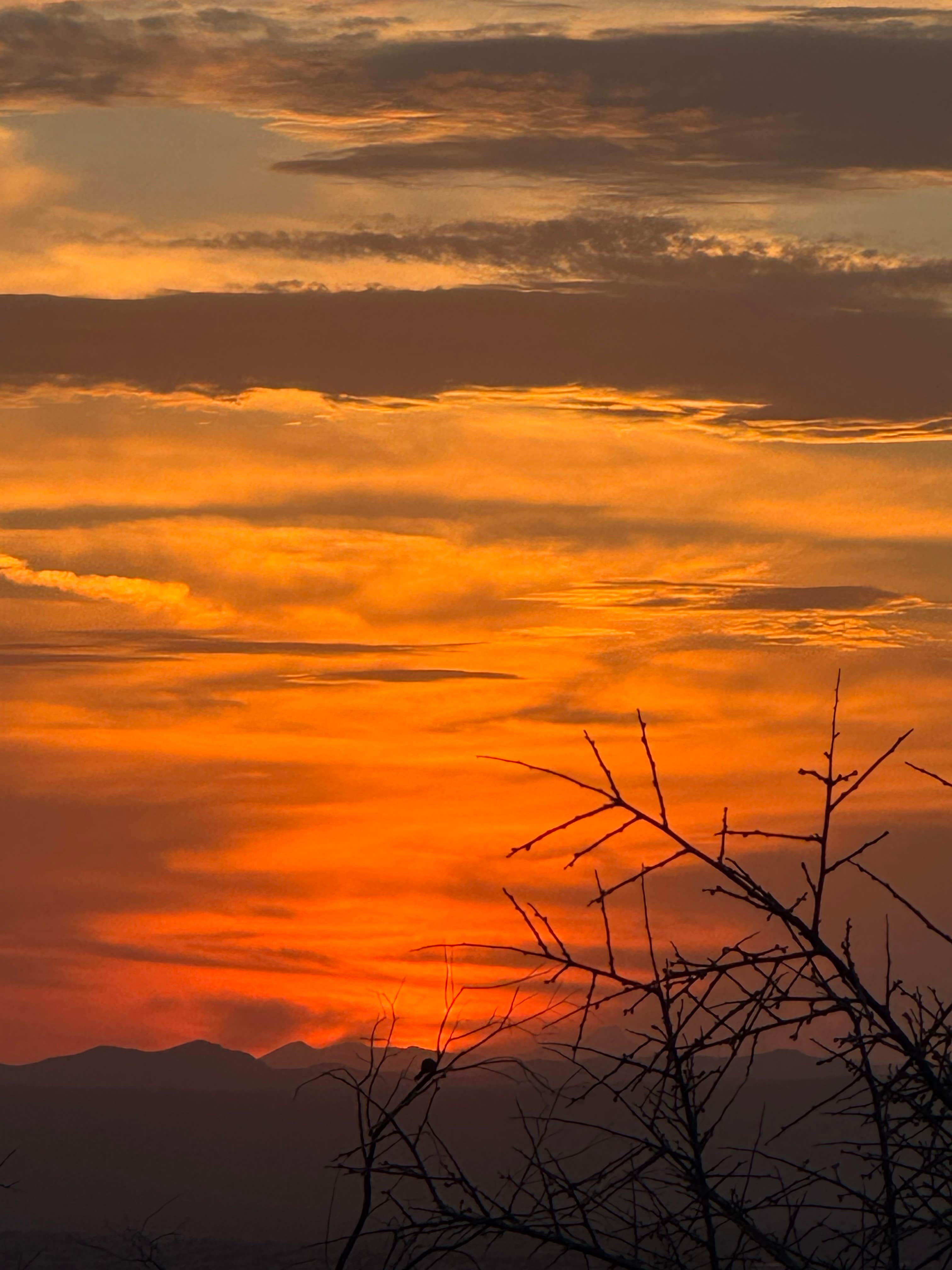 Camper-submitted photo at Baylor Canyon Rd Dispersed Site near San Ysidro, NM