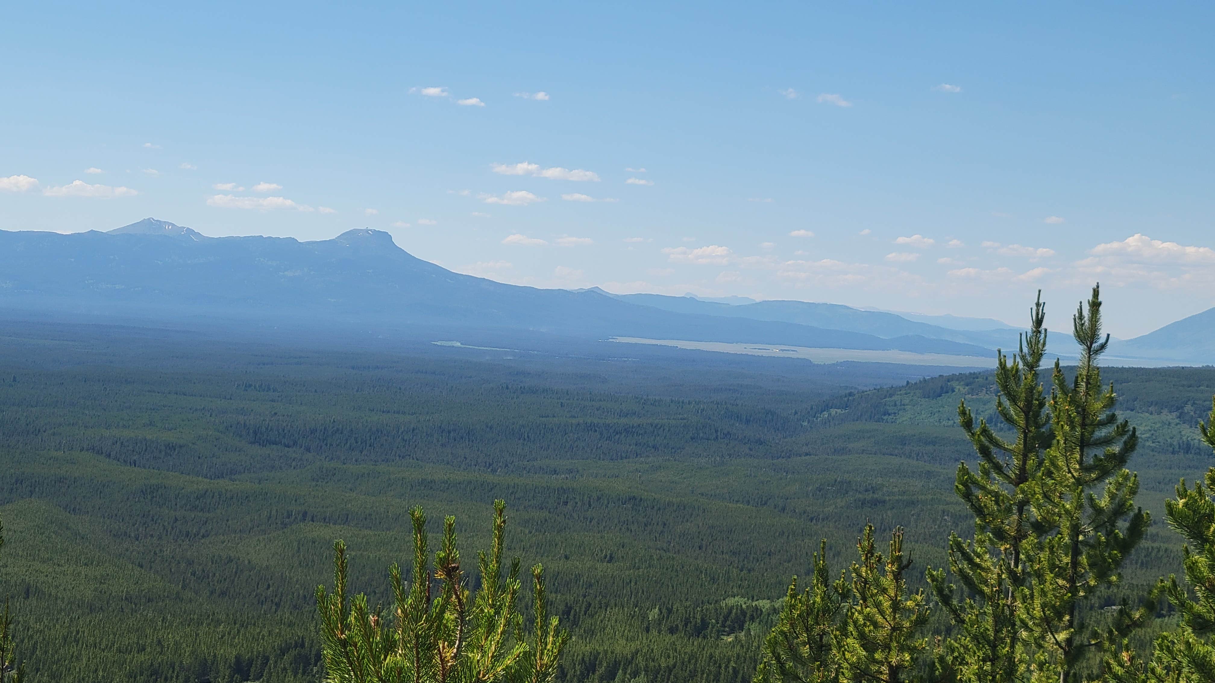 Camper-submitted photo at Baylor Canyon Rd Dispersed Site near San Ysidro, NM