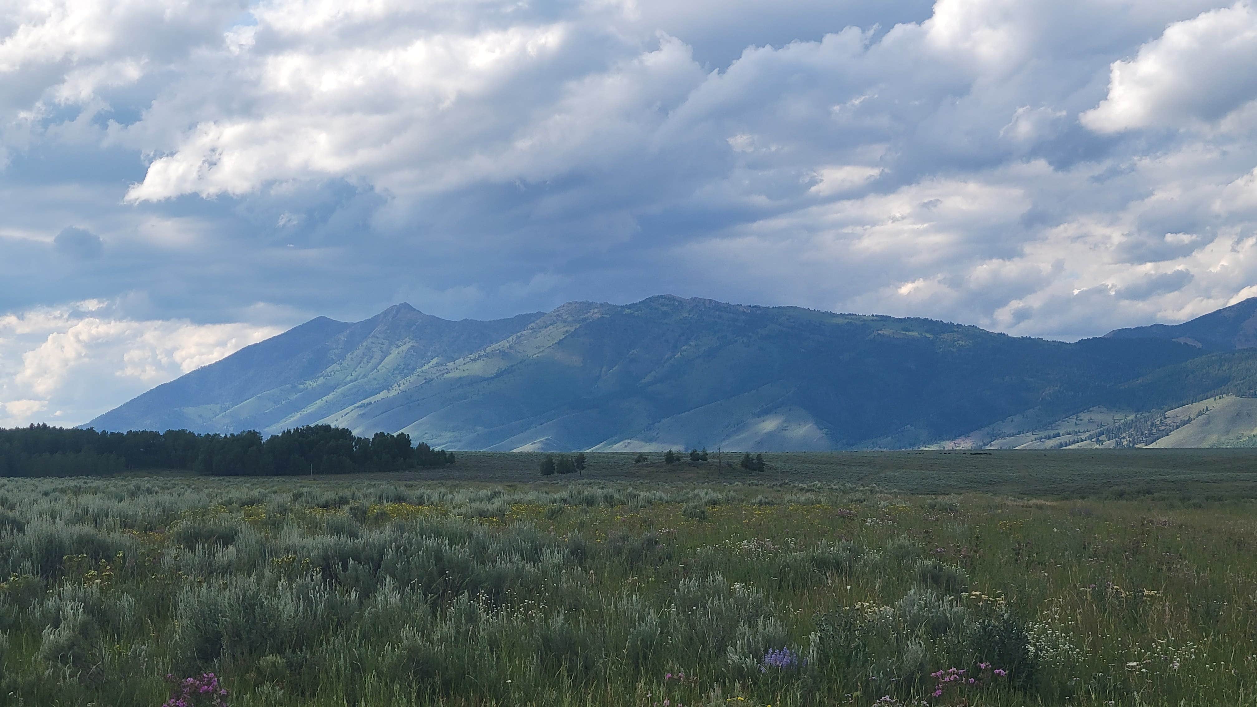 Camper-submitted photo at Baylor Canyon Rd Dispersed Site near San Ysidro, NM