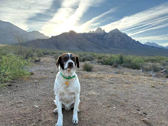 Roy G.'s photo of a dispersed camping area at Baylor Canyon Rd Dispersed Site near Hatch, NM