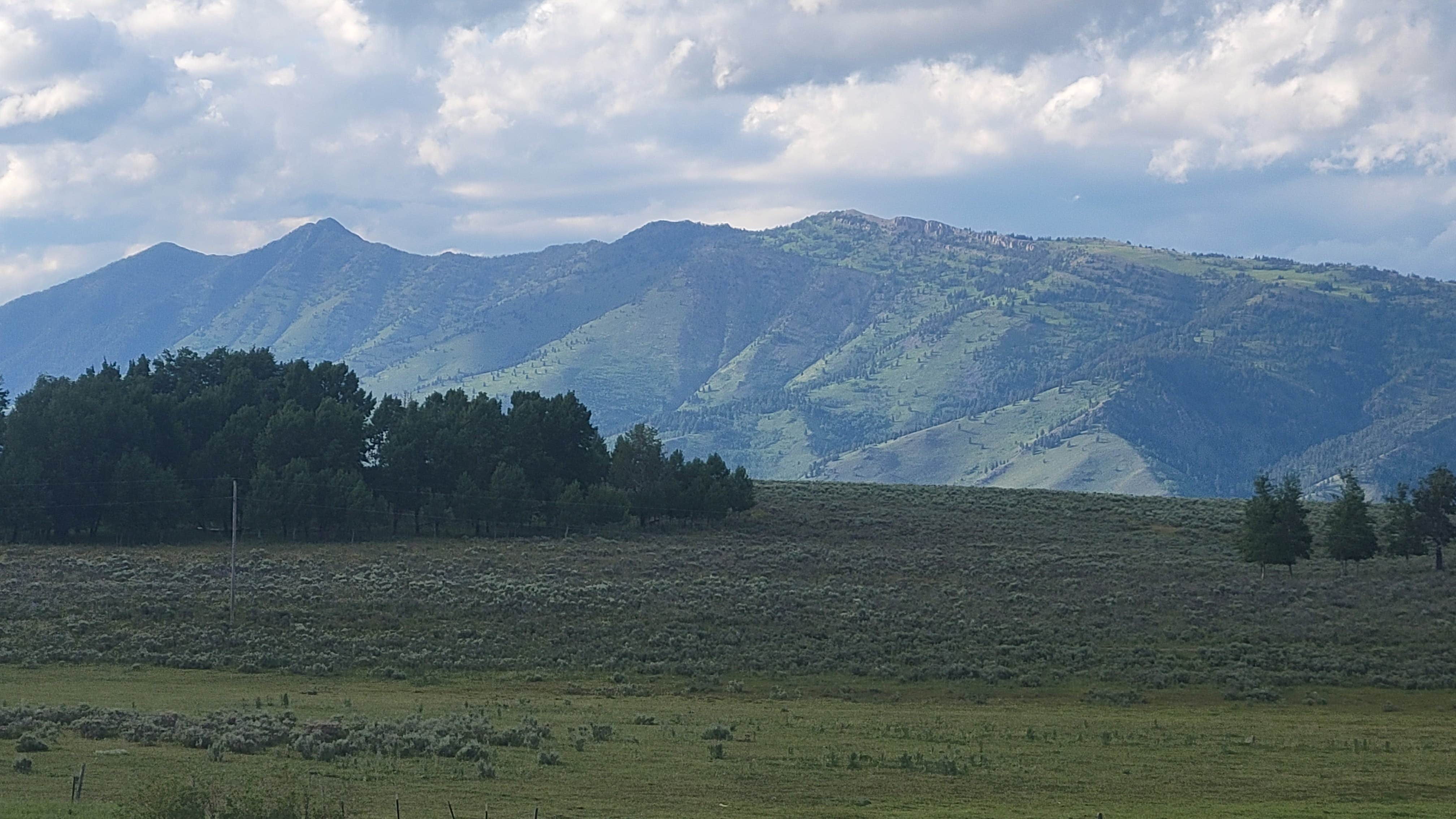Camper-submitted photo at Baylor Canyon Rd Dispersed Site near San Ysidro, NM