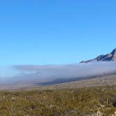 Review photo of Baylor Canyon Rd Spur, BLM, Free by Tracy T., December 25, 2023