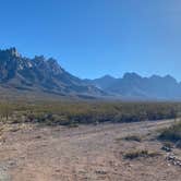 Review photo of Baylor Canyon Rd Spur, BLM, Free by Tracy T., December 25, 2023