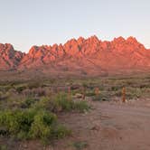 Review photo of Baylor Canyon Rd Spur, BLM, Free by Felix B., March 26, 2026