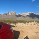 Review photo of Baylor Canyon Rd Spur, BLM, Free by Lilly D., March 22, 2024