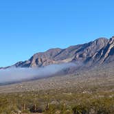 Review photo of Baylor Canyon Rd Spur, BLM, Free by Tracy T., December 25, 2023