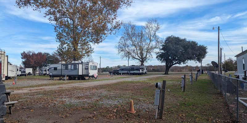 Camper submitted image from Bayou Boeuf RV Park