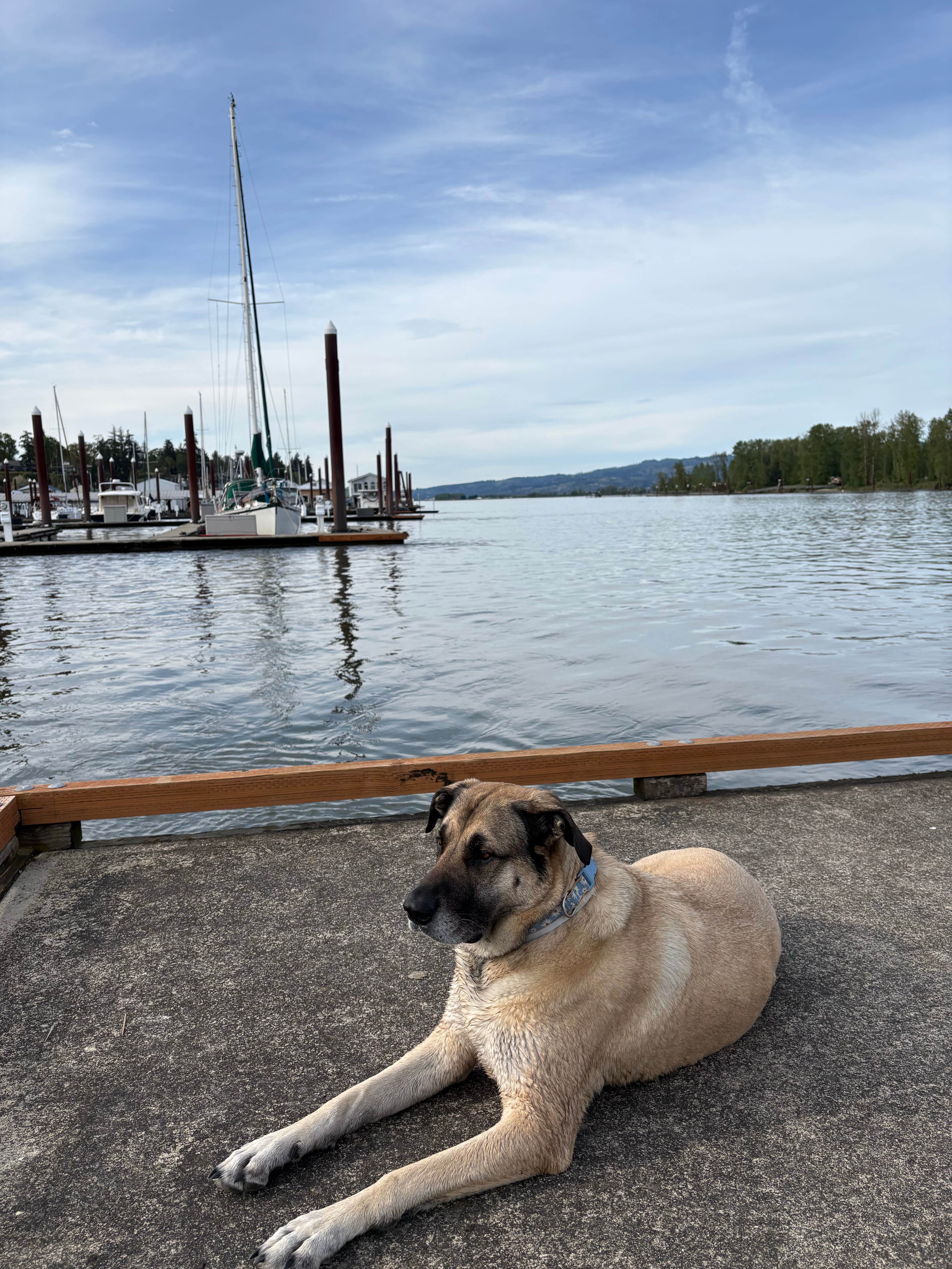 Camper-submitted photo at Bayport RV Park and Campground near Yacolt, WA