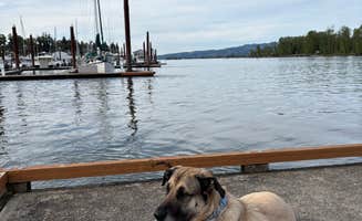 Jacob W.'s photo of camping with pets at Bayport RV Park and Campground near St. Helens, OR