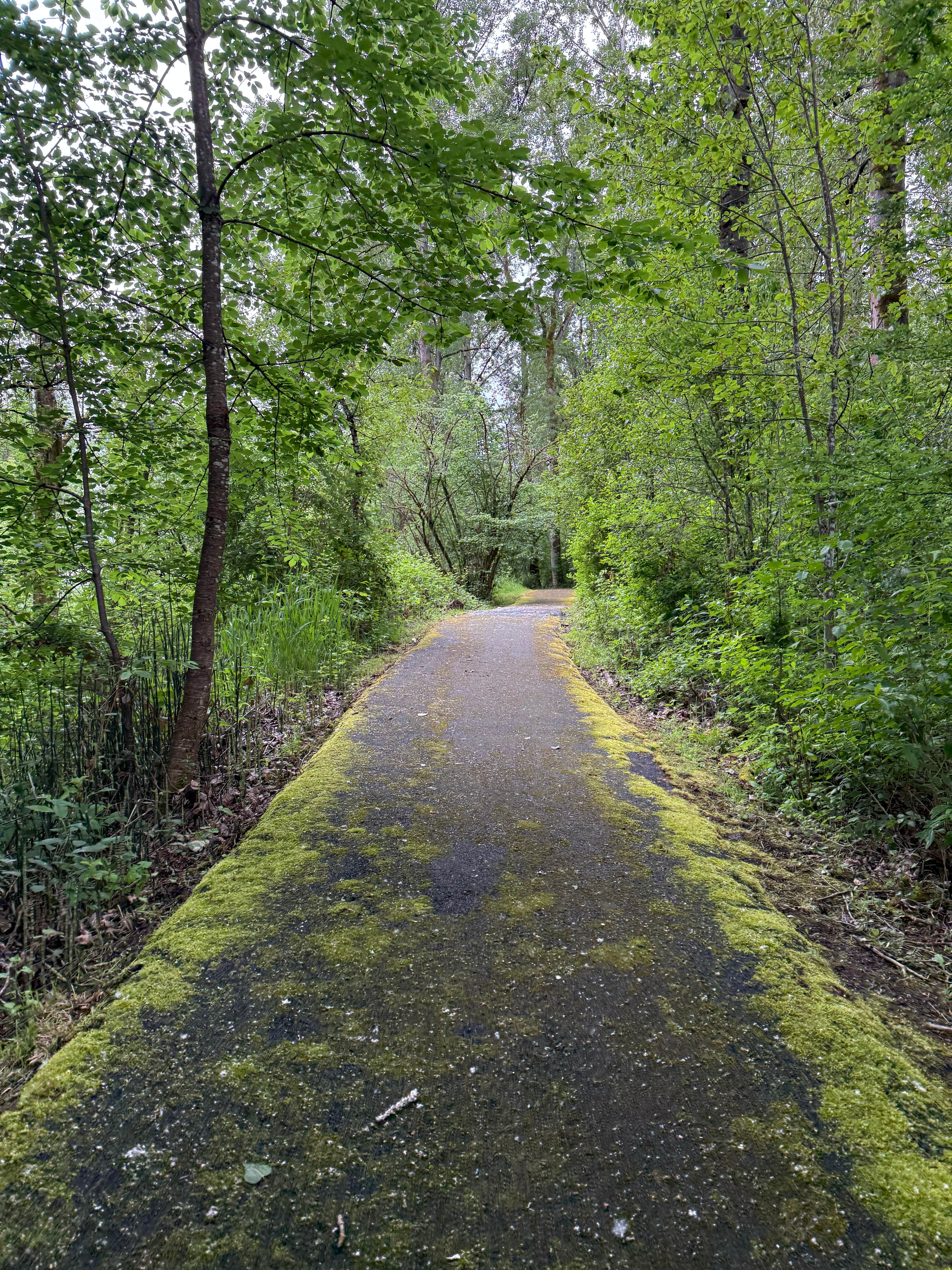 Camper submitted image from Bayport RV Park and Campground - 1