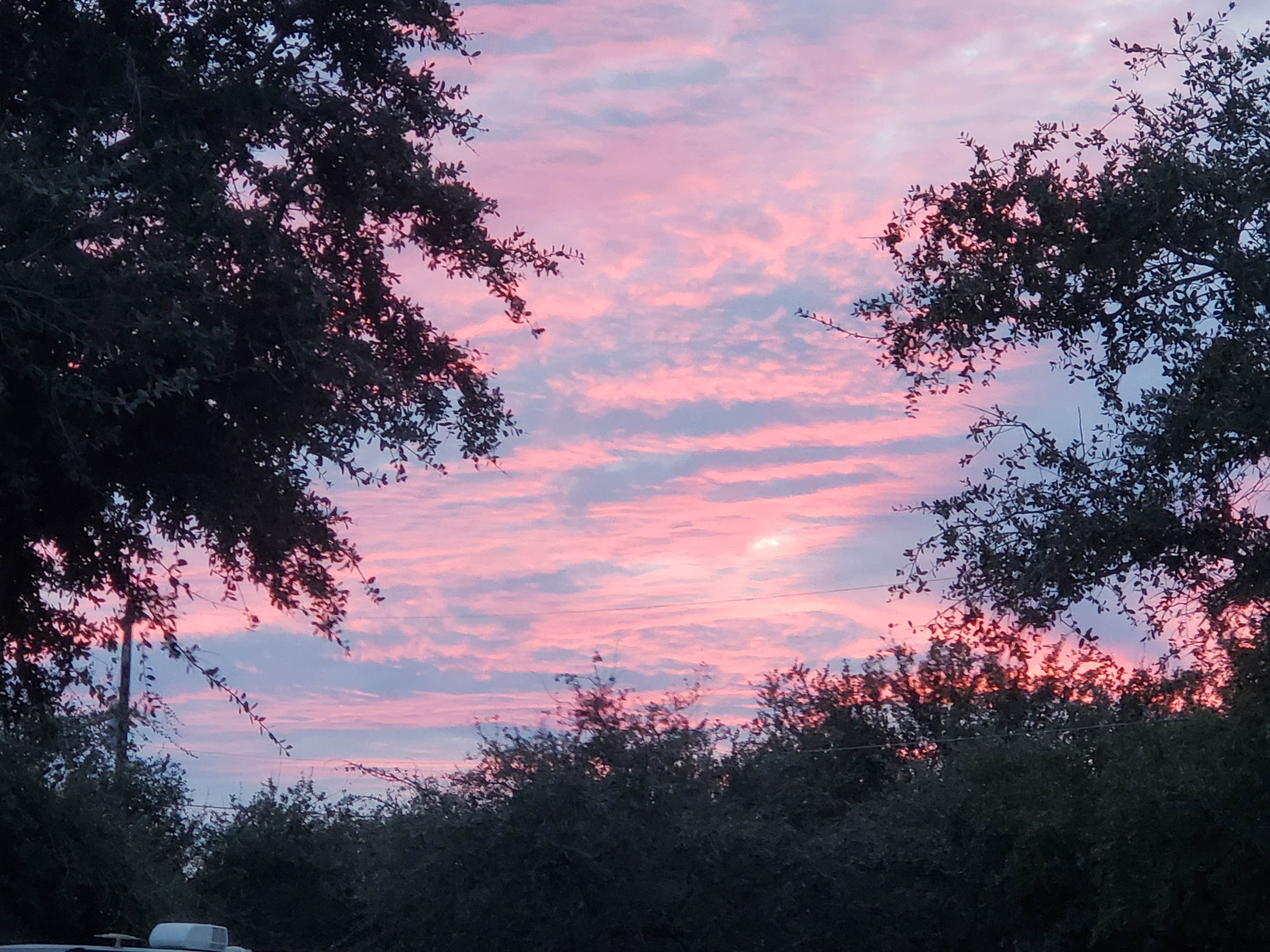 Camper-submitted photo at Bay View RV Resort near Goliad, TX
