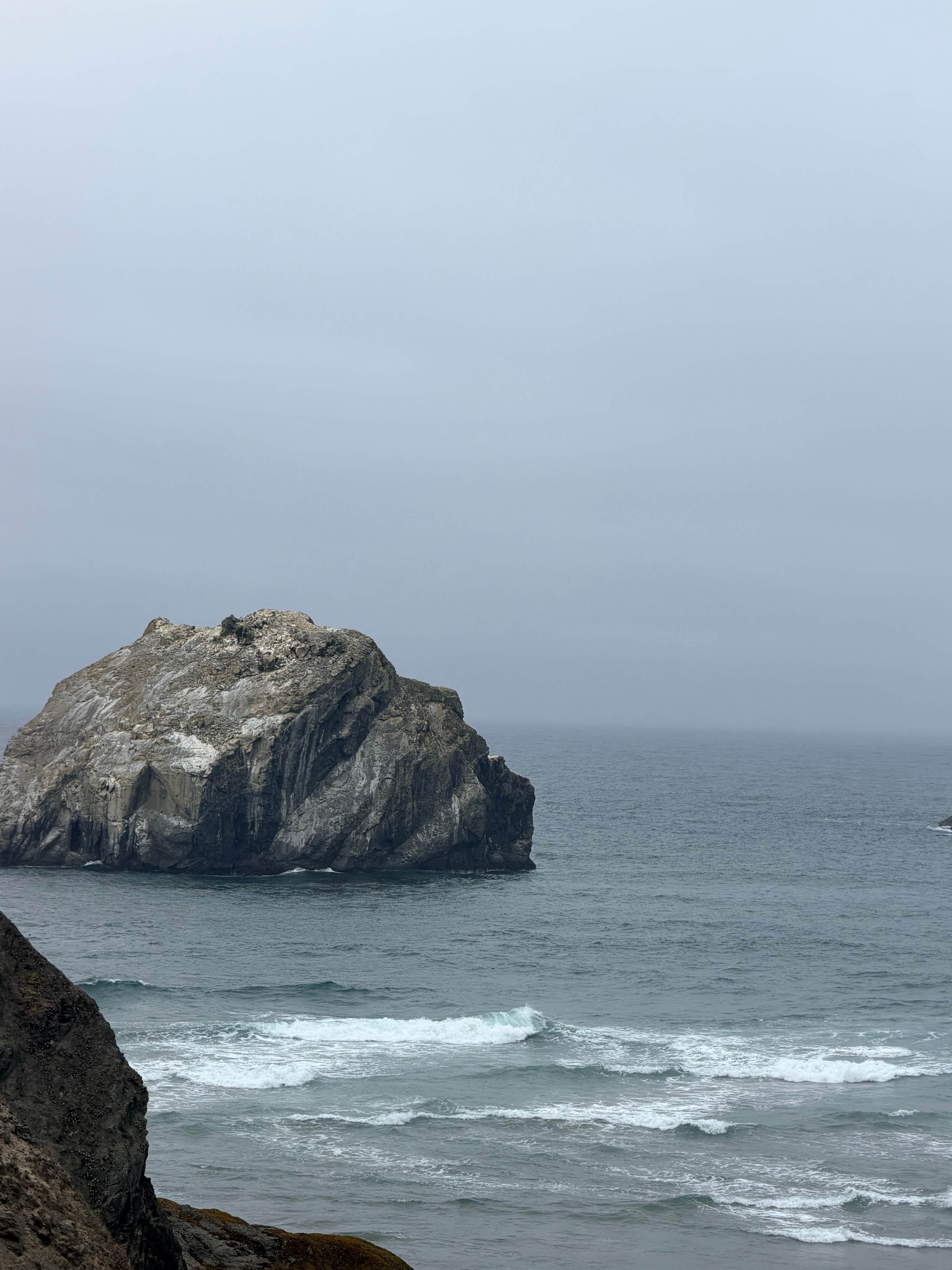 Camper-submitted photo at Beach Bound RV Park near Myrtle Point, OR
