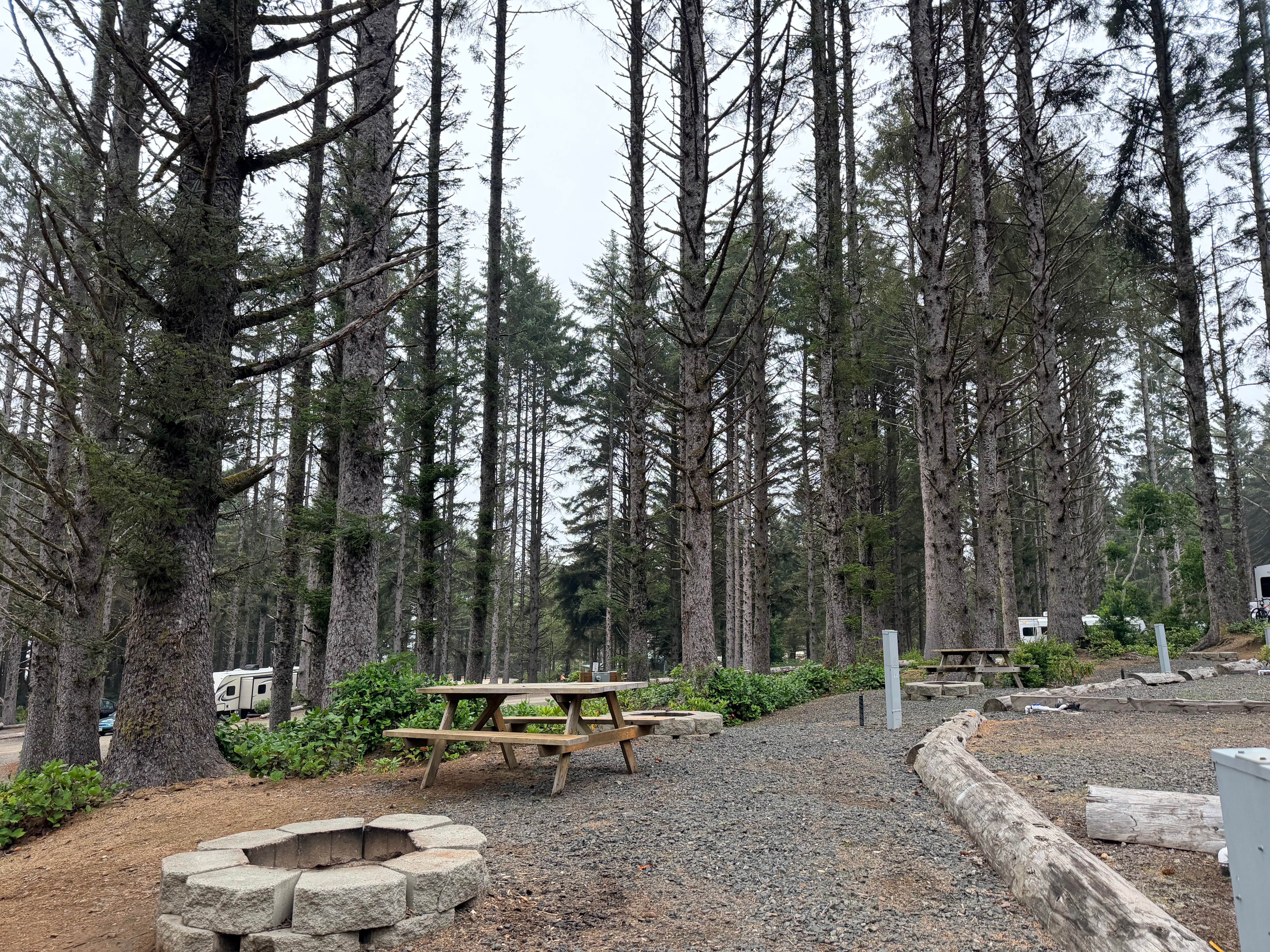 Camper-submitted photo at Beach Bound RV Park near Myrtle Point, OR