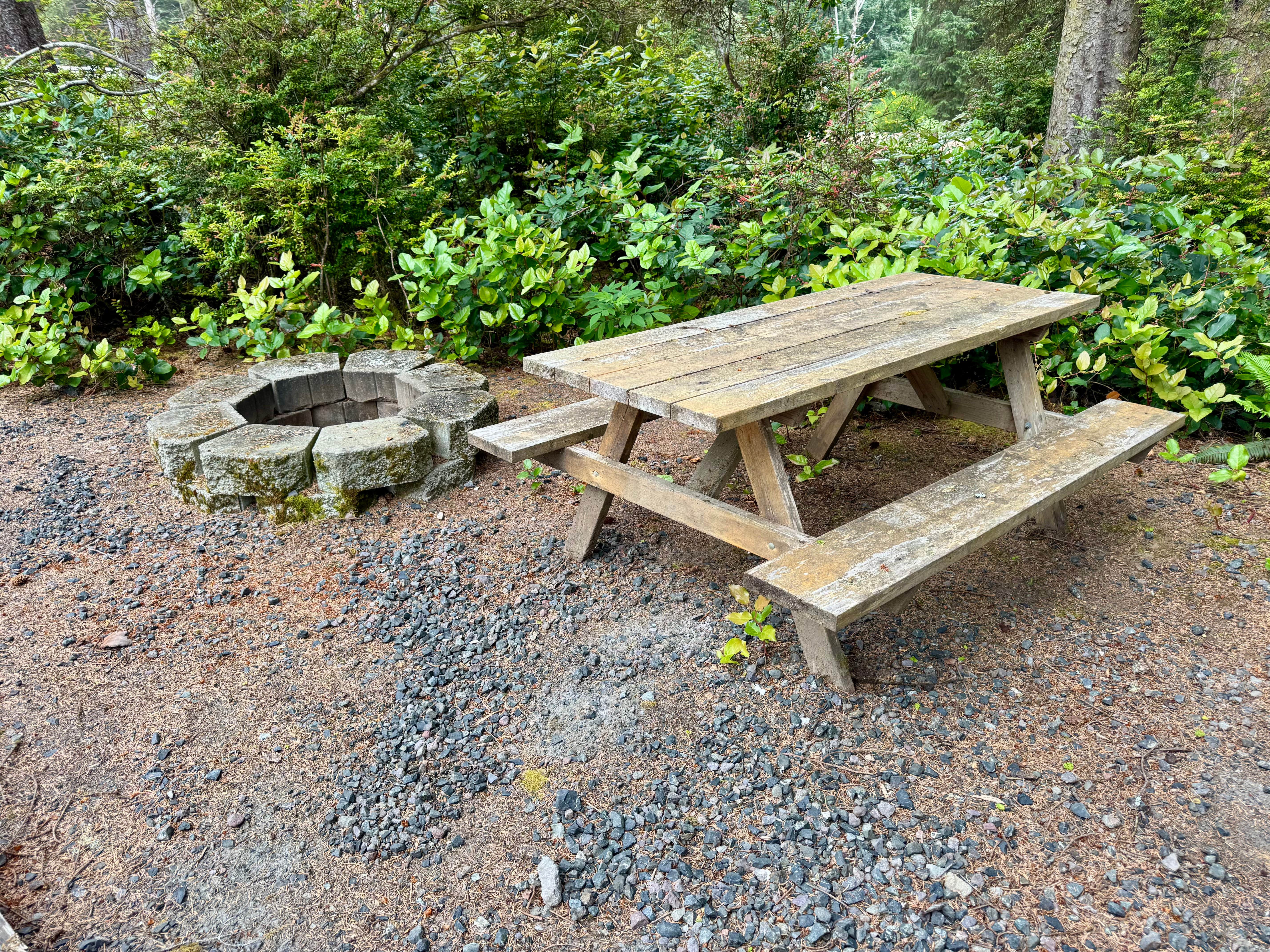 Camper-submitted photo at Beach Bound RV Park near North Bend, OR