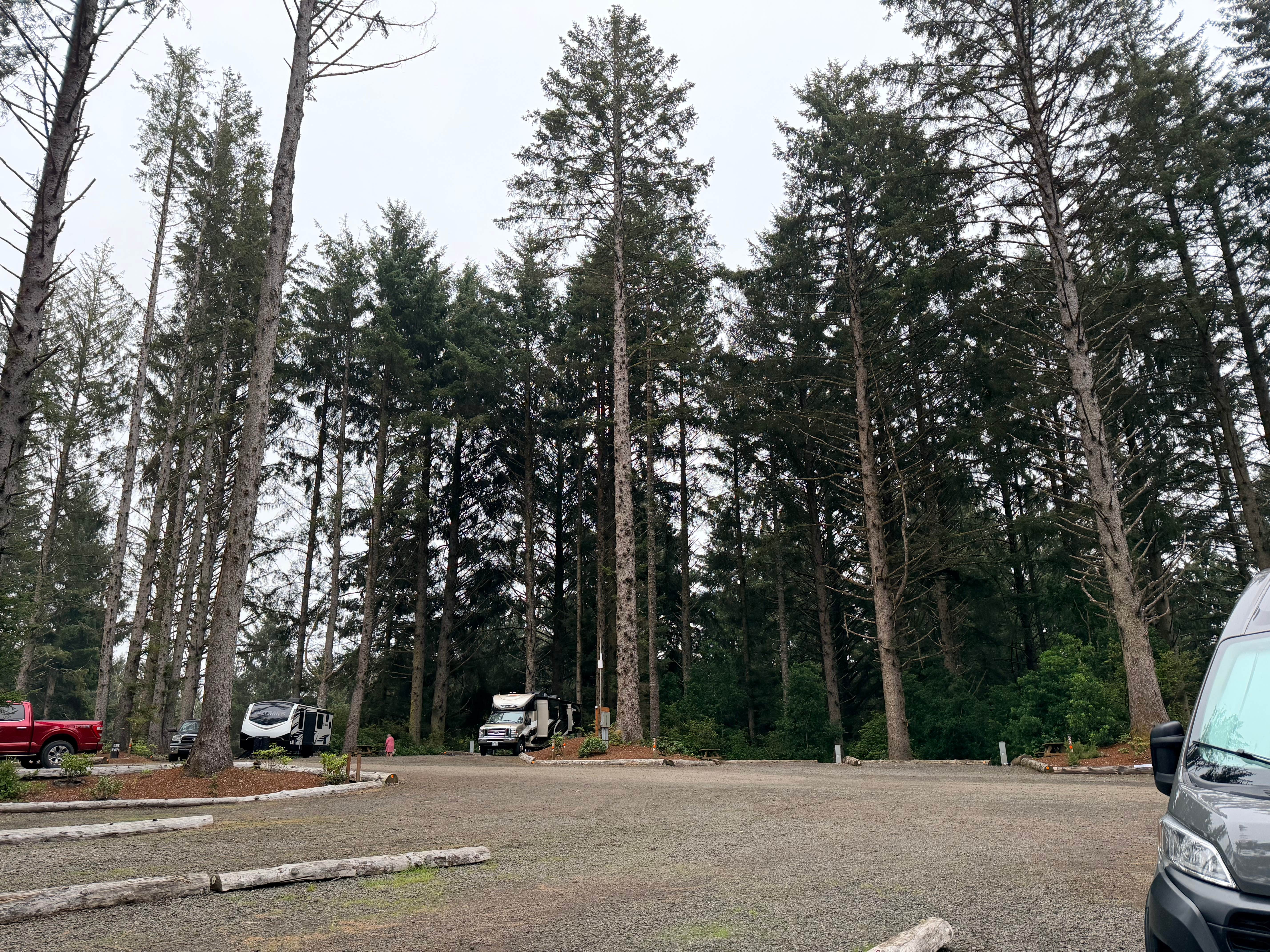 Eric P.'s photo of camping with pets at Beach Bound RV Park near Camas Valley, OR