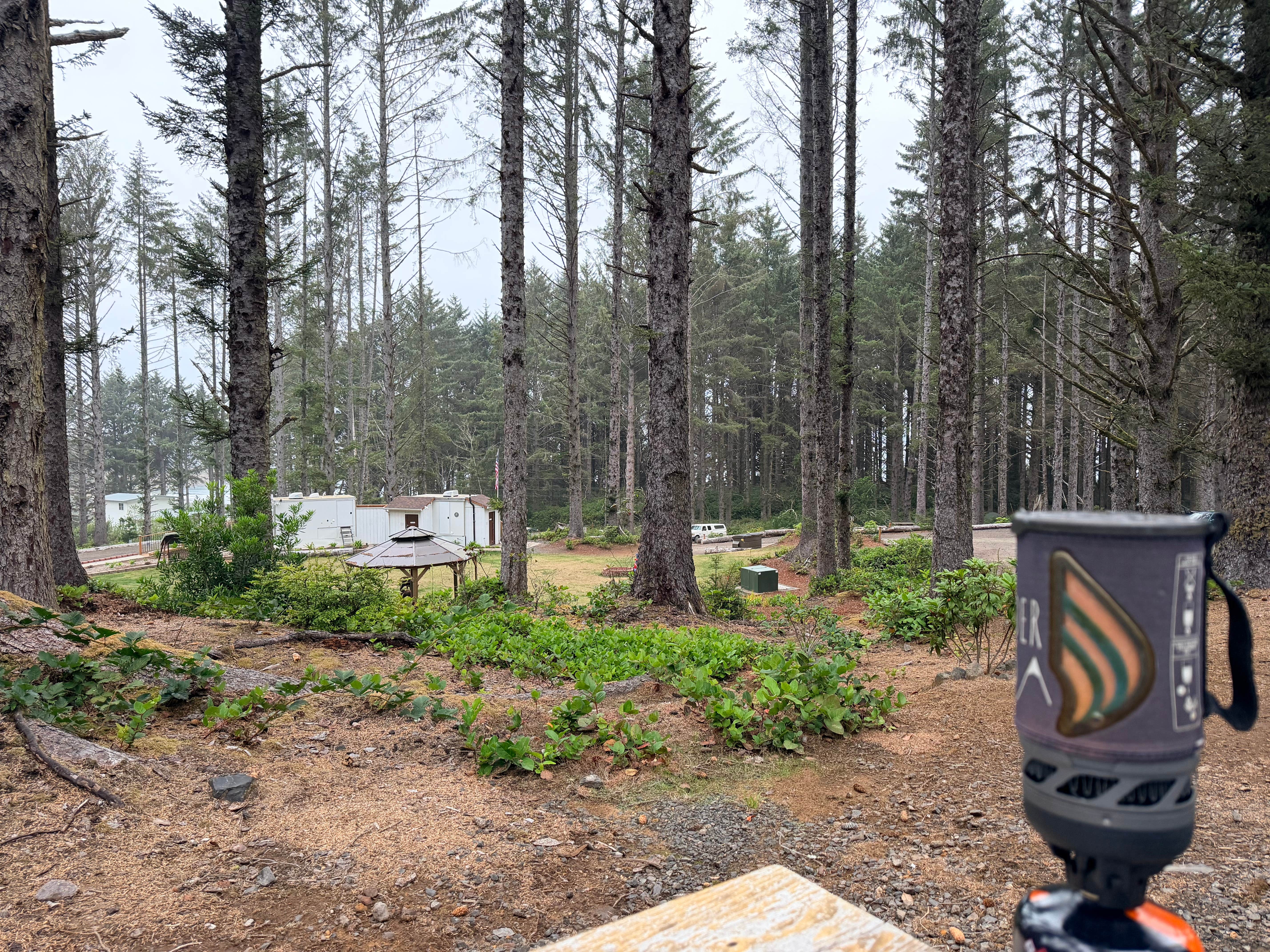 Camping near Sunset Bay State Park Campground: Beach Bound RV Park, Coos Bay, Oregon