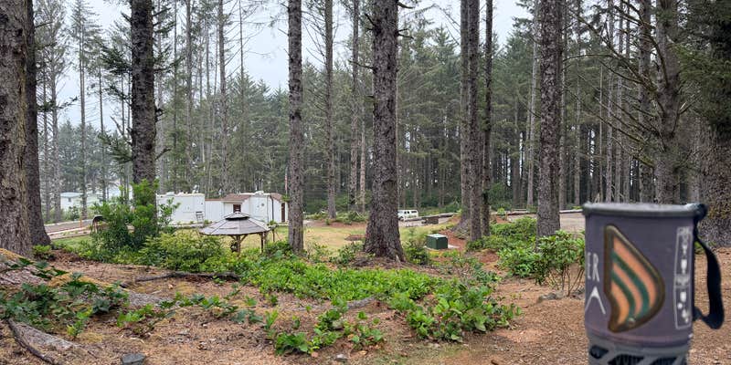 Camper submitted image from Beach Bound RV Park