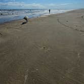 Review photo of Beach camping by Todd B., February 22, 2026