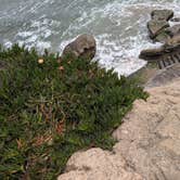 Review photo of Beach RV Pleasure Point by Phillip S., July 22, 2026