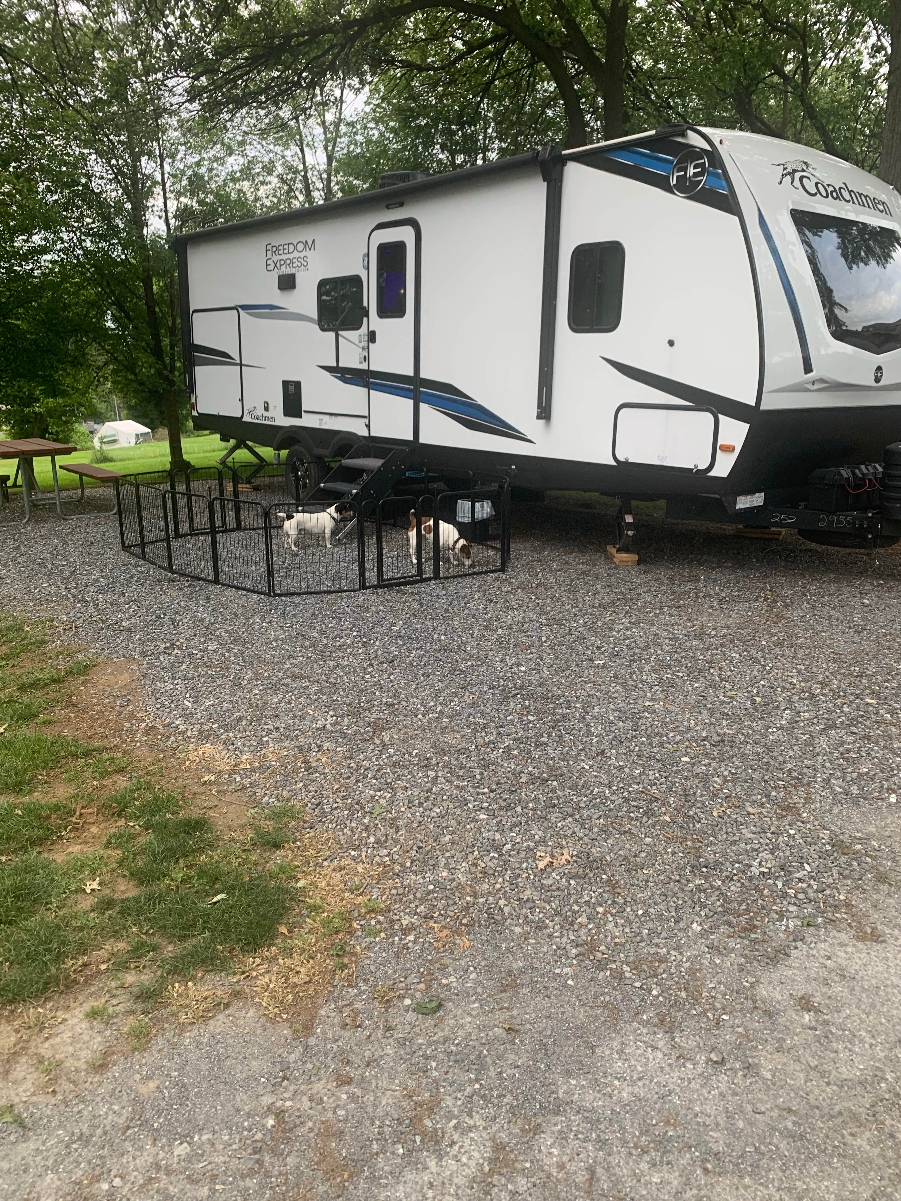 Ray P.'s photo of camping with pets at Beacon Hill Camping near Ephrata, PA