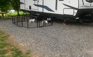 Ray P.'s photo of camping with pets at Beacon Hill Camping near Glenmoore, PA