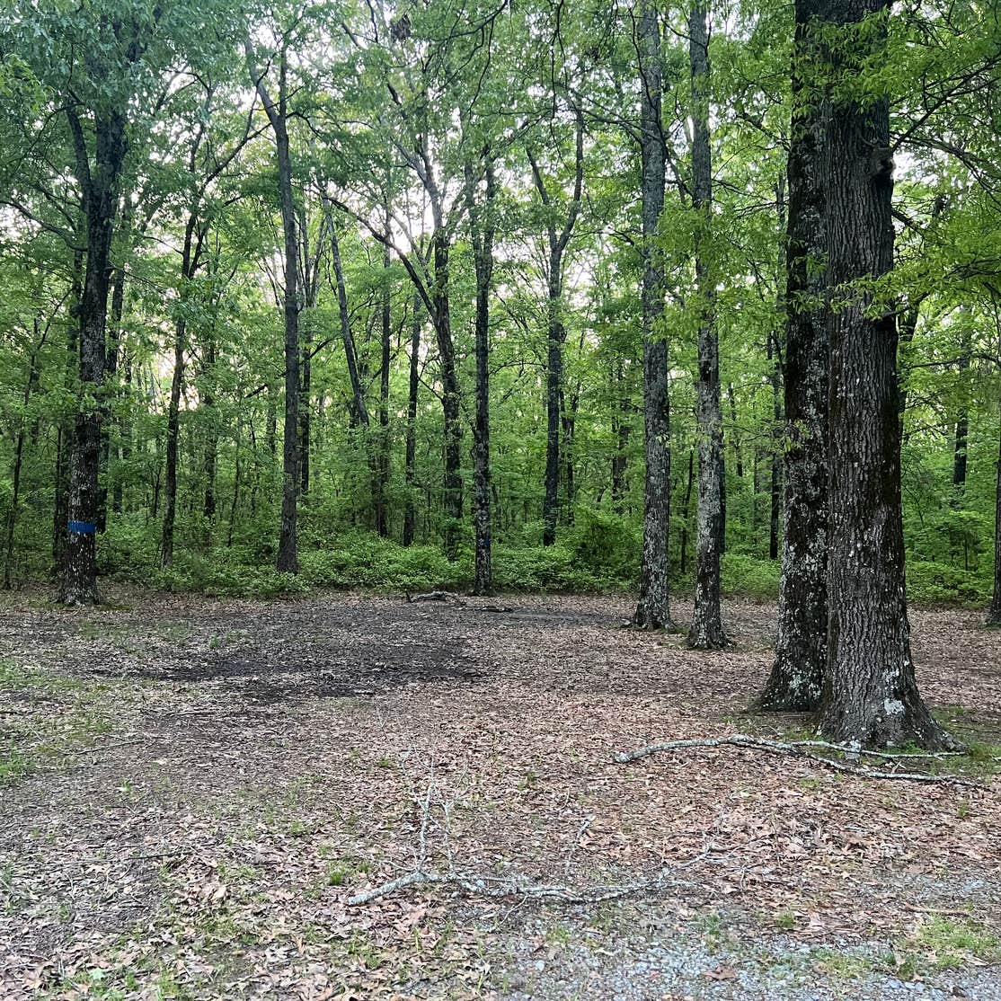 Beagle Club Road PullOff Camping McRae, AR