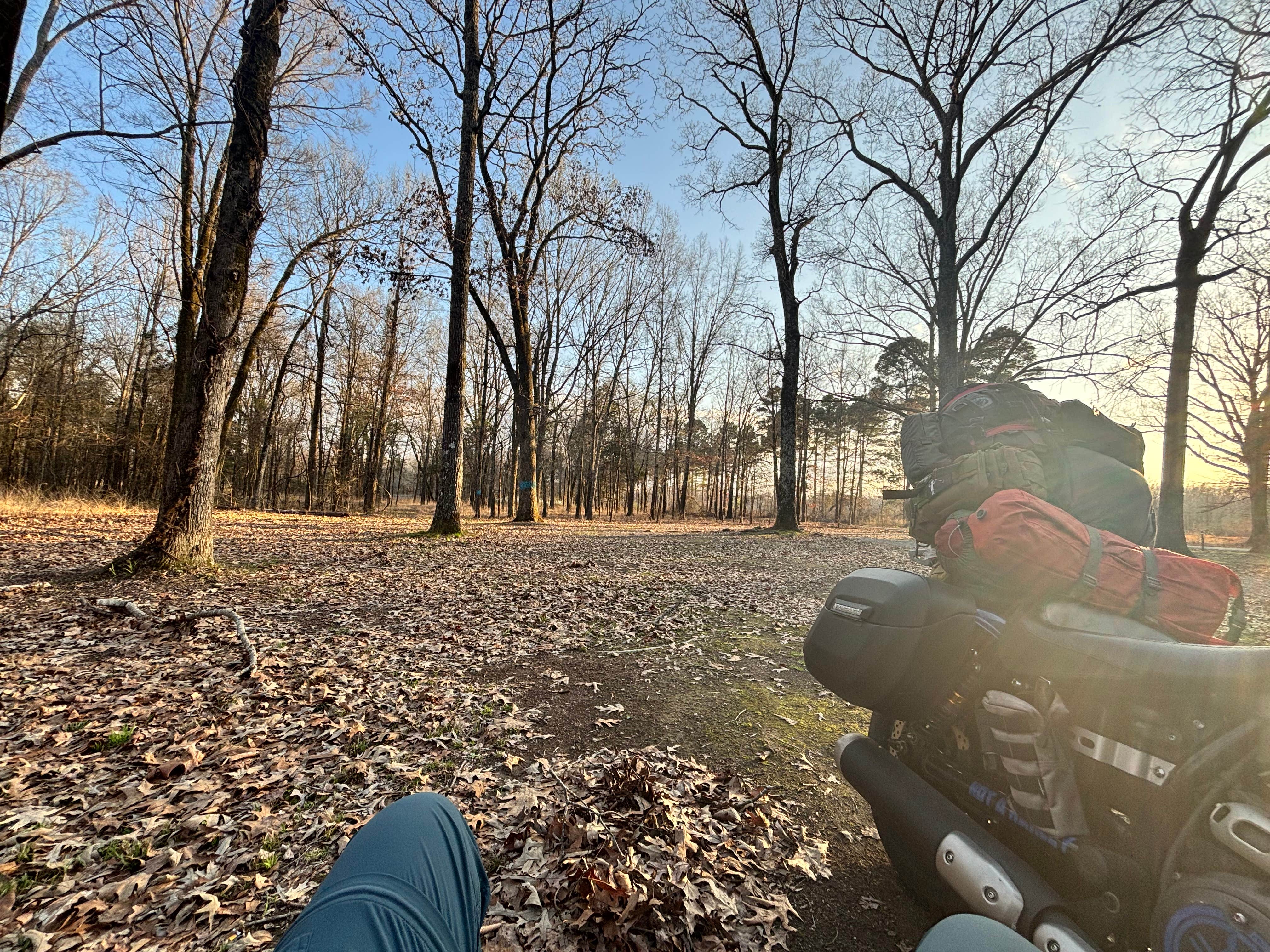 Camper-submitted photo at Beagle Club Road Pull-Off near Little Rock, AR