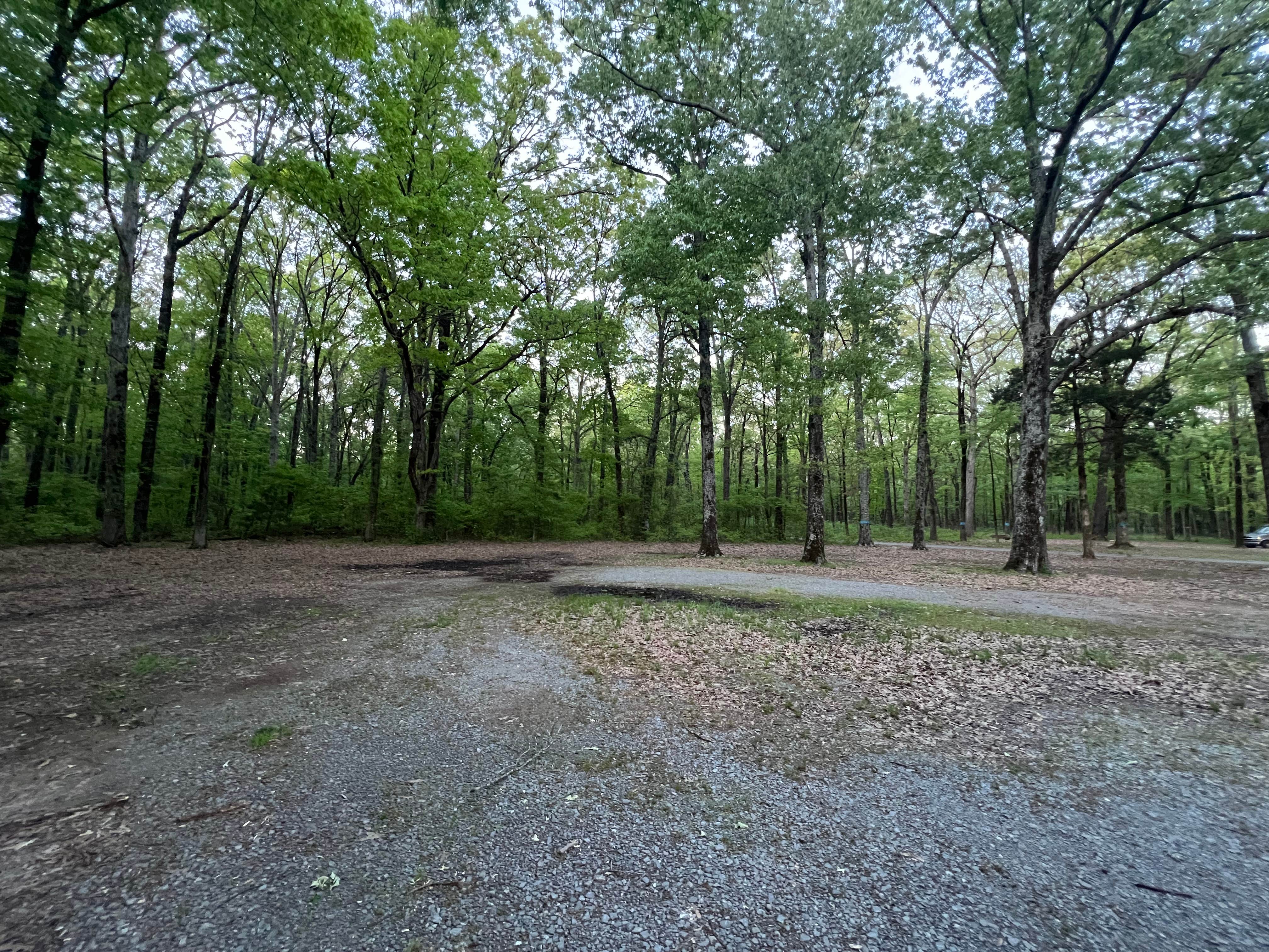 Camper-submitted photo at Beagle Club Road Pull-Off near Ethel, AR