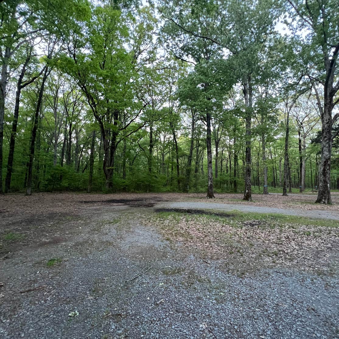 Beagle Club Road PullOff Camping McRae, AR