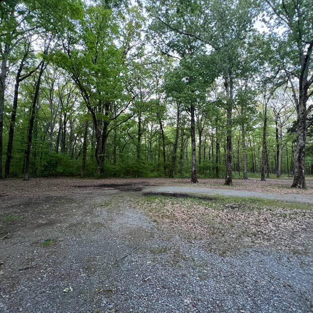 Beagle Club Road PullOff Camping McRae, AR