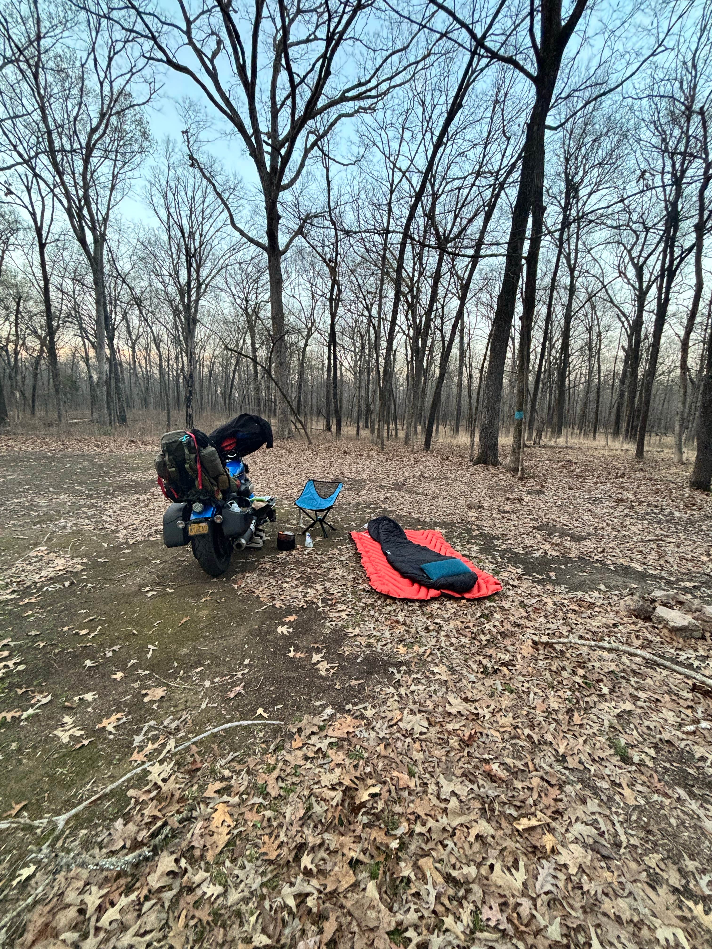 Camper-submitted photo at Beagle Club Road Pull-Off near Little Rock, AR
