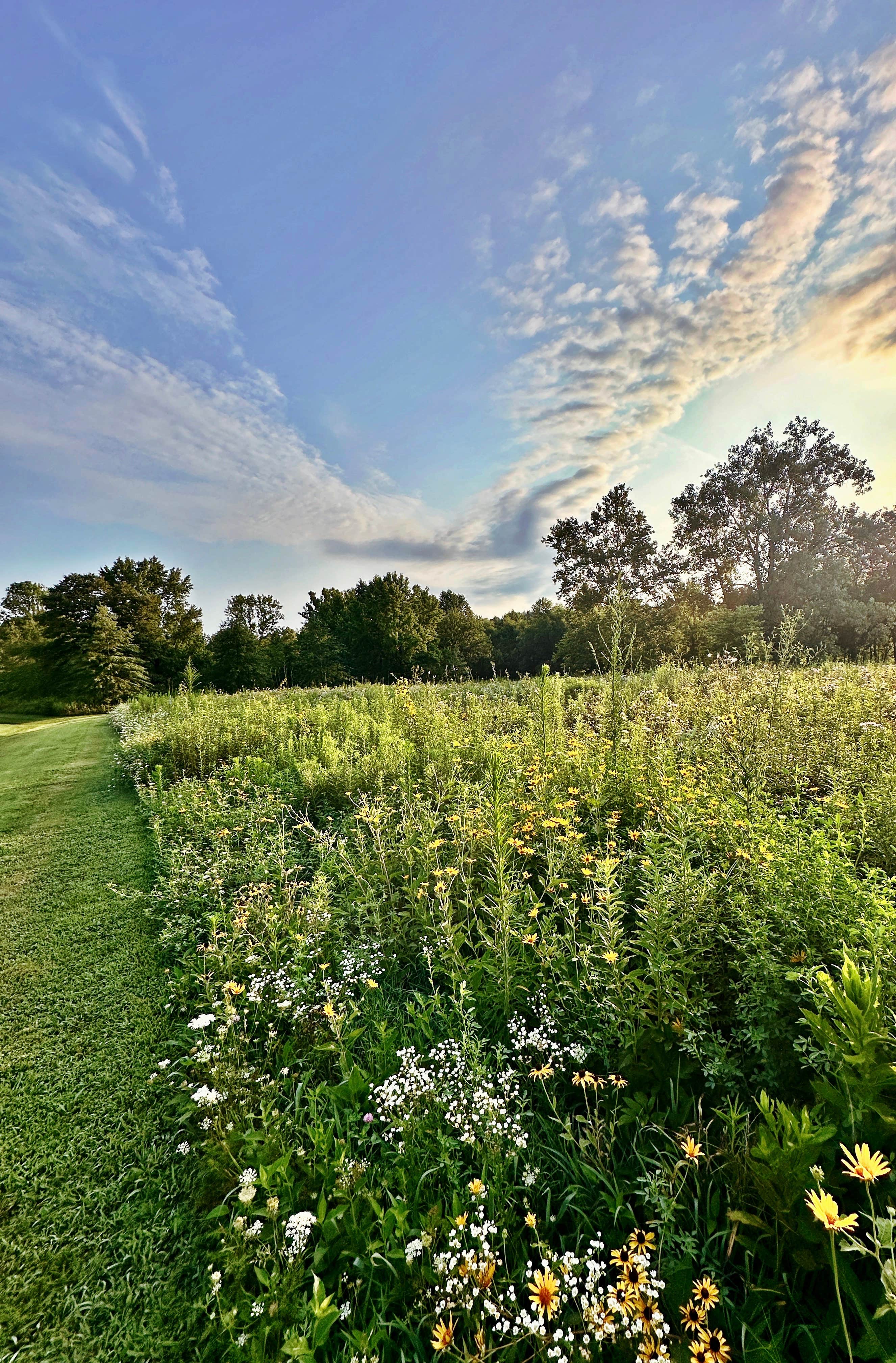 Camper-submitted photo at Beall Woods State Park Campground near Sumner, IL