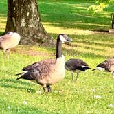 Review photo of Beall Woods State Park Campground by Kenda A., July 22, 2024