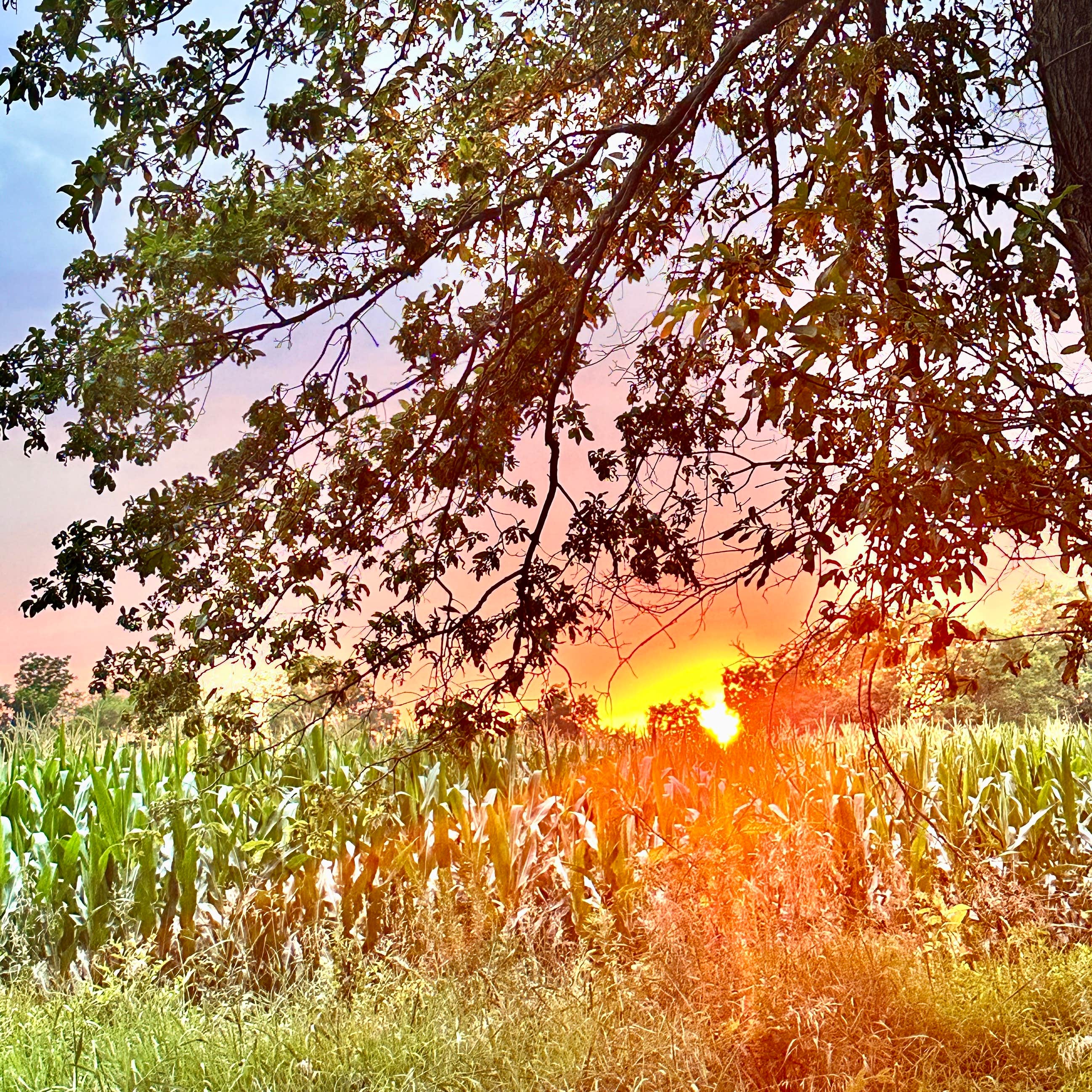 Camper-submitted photo at Beall Woods State Park Campground near Sumner, IL