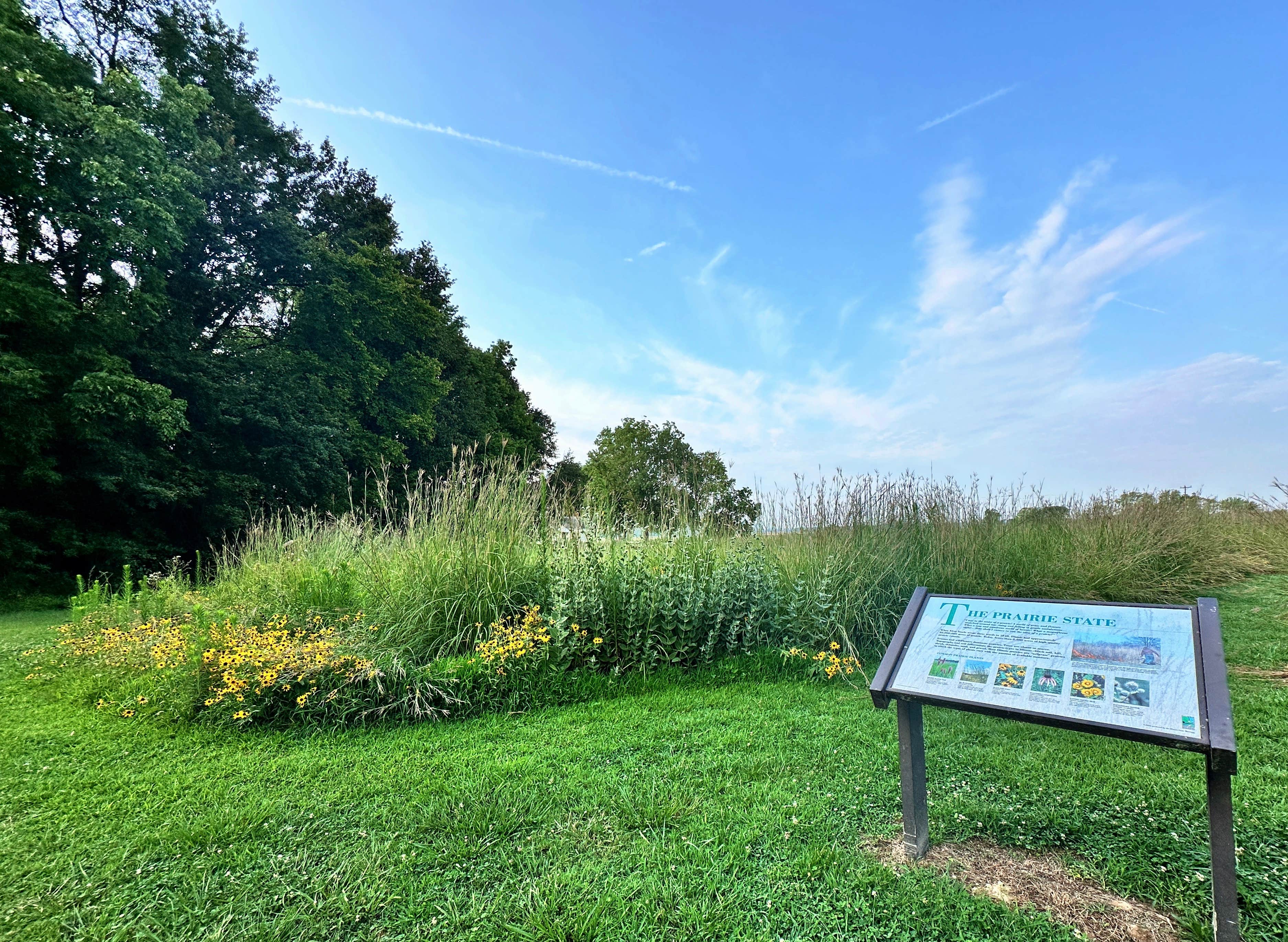 Camper-submitted photo at Beall Woods State Park Campground near Sumner, IL
