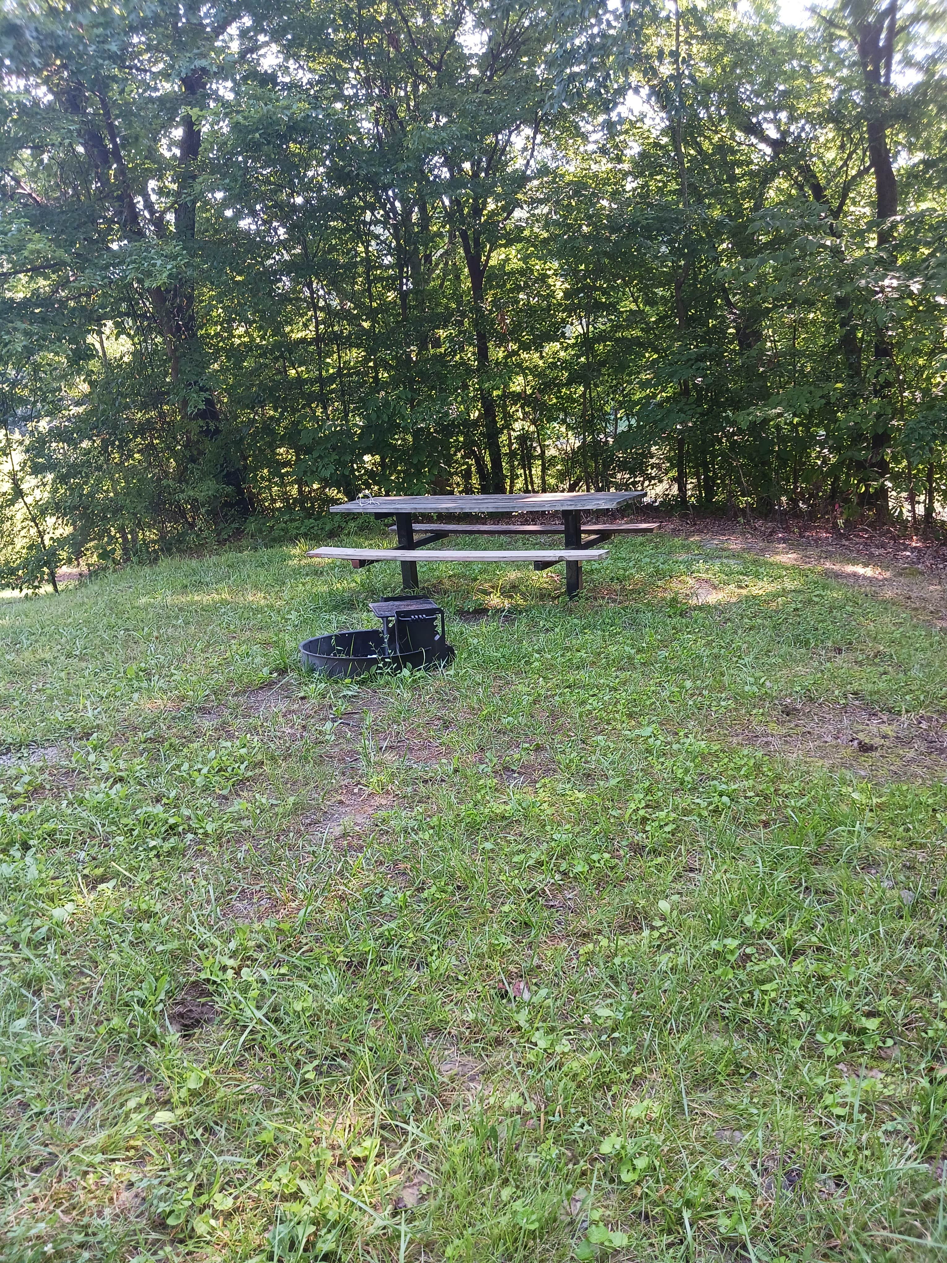 Camper submitted image from Bean Ridge Pond Campground - 1