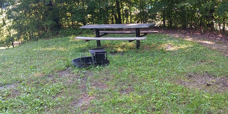 Camper submitted image from Bean Ridge Pond Campground