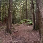 Review photo of Bear Creek Campground by Darron S., July 28, 2026