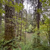 Review photo of Bear Creek Campground by Bethany W., June 27, 2025