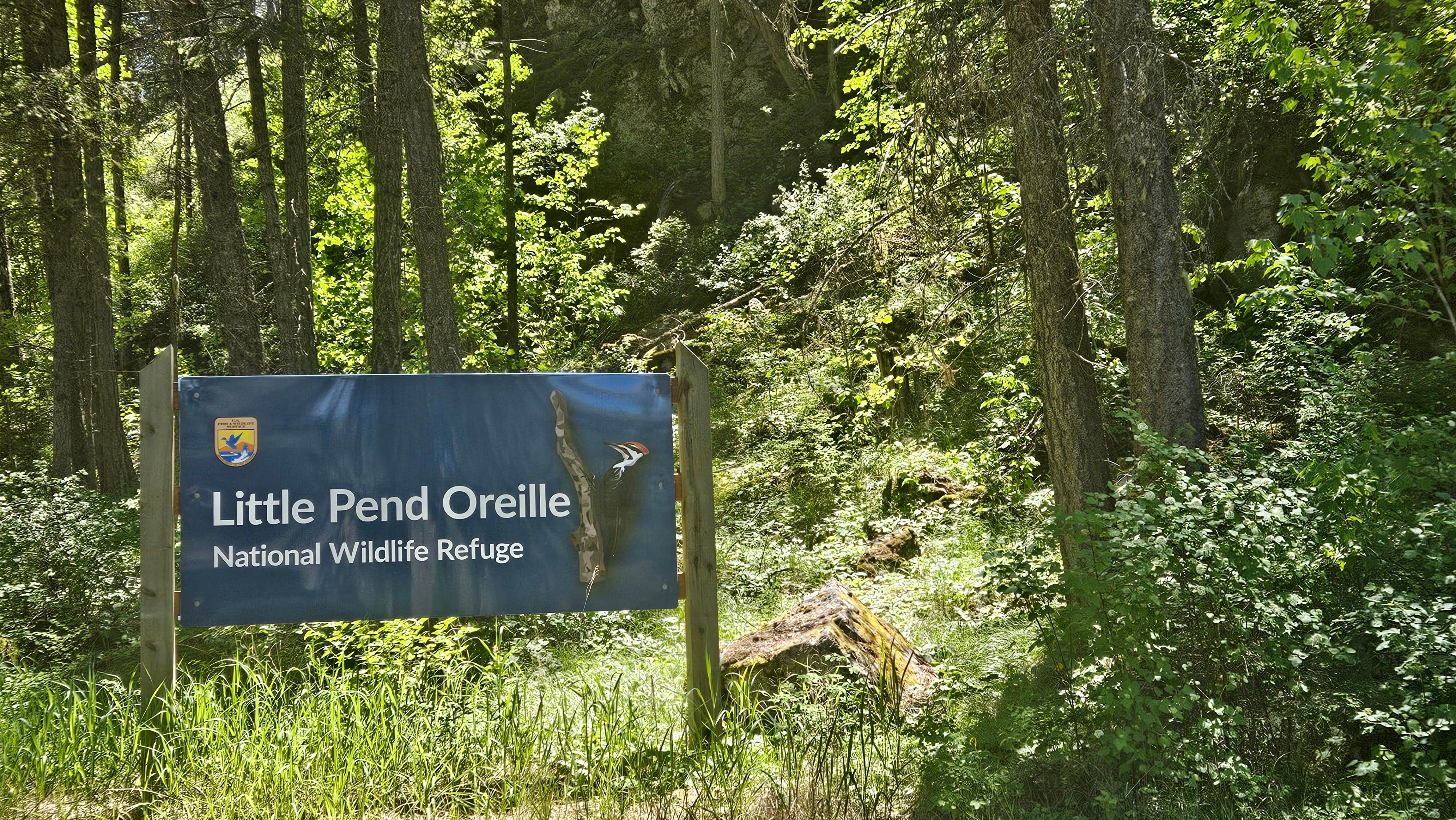 Camper submitted image from Little Pend Orielle Campground - 5
