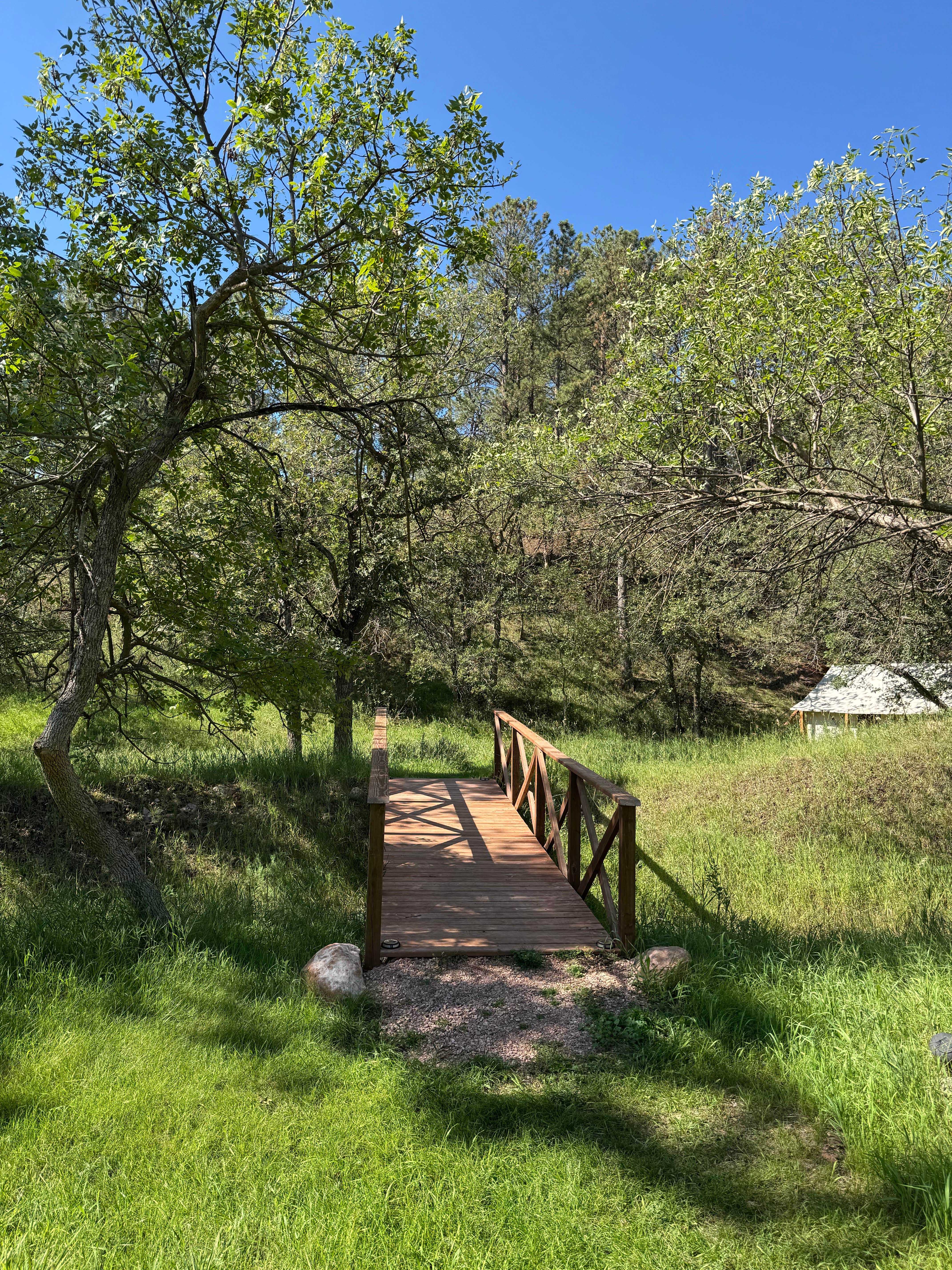 Camper submitted image from Bear Den Cabins and Camp - 4