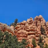 Review photo of Bear Flat by Gregg T., June 18, 2026