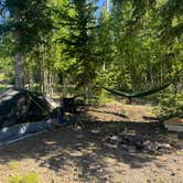 Review photo of Bear Flat by Shavit L., June 29, 2024