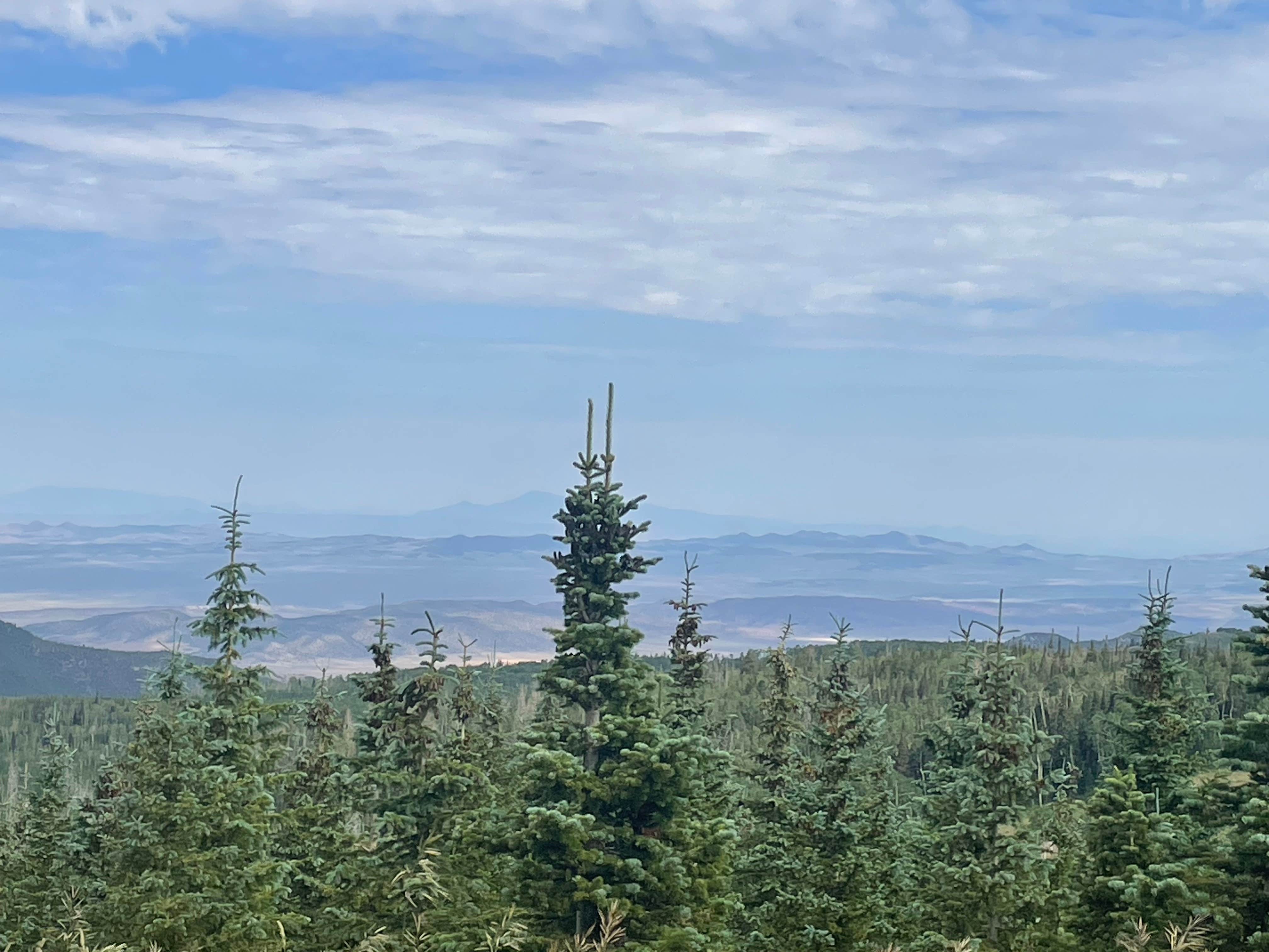 Camper-submitted photo at Bear Flat near Parowan, UT