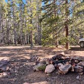 Review photo of Bear Lake Backpack Site by ava A., June 20, 2026