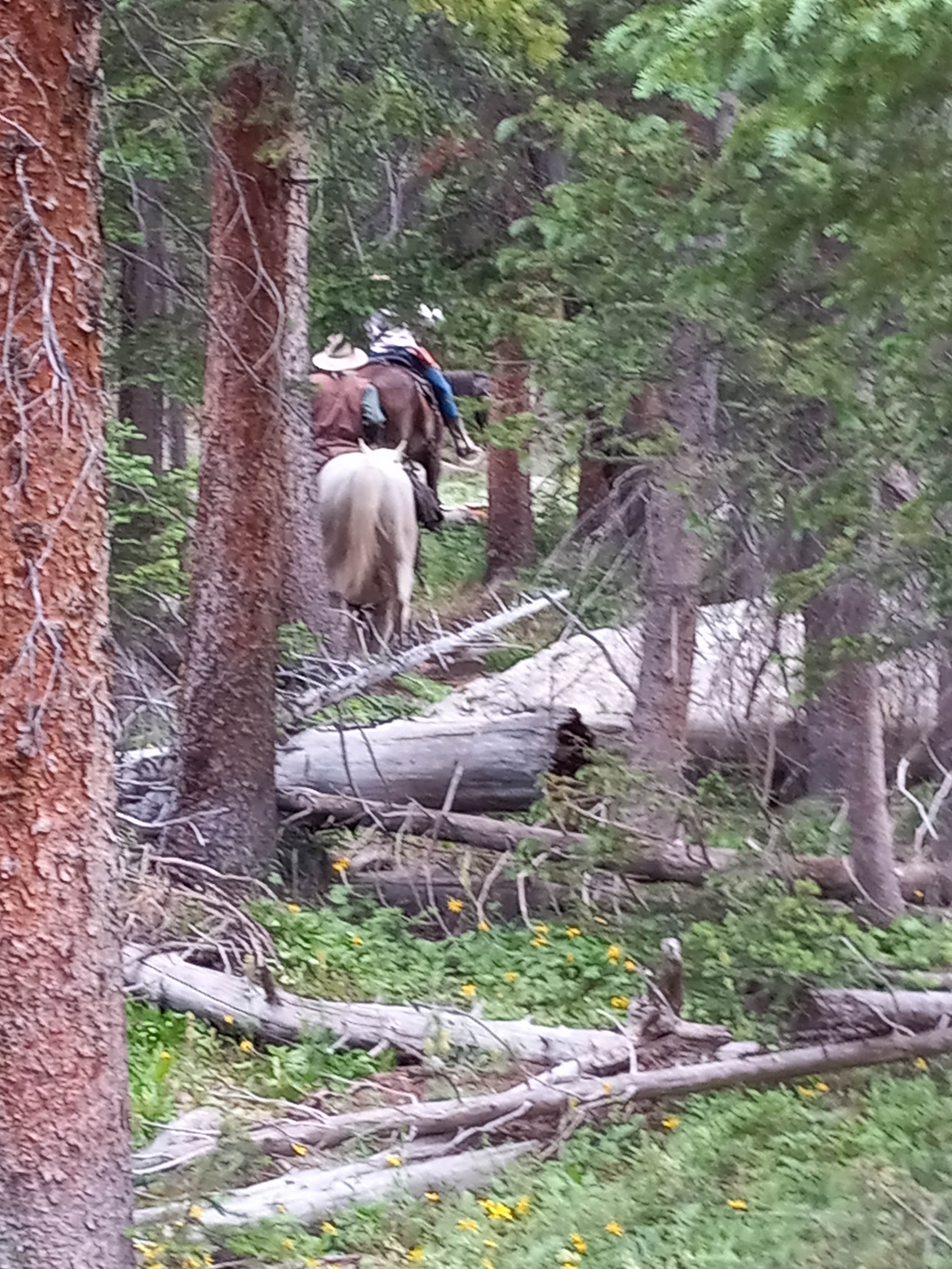 Camping near Gold Park Campground: Bear Lake Backpack Site, Leadville, Colorado