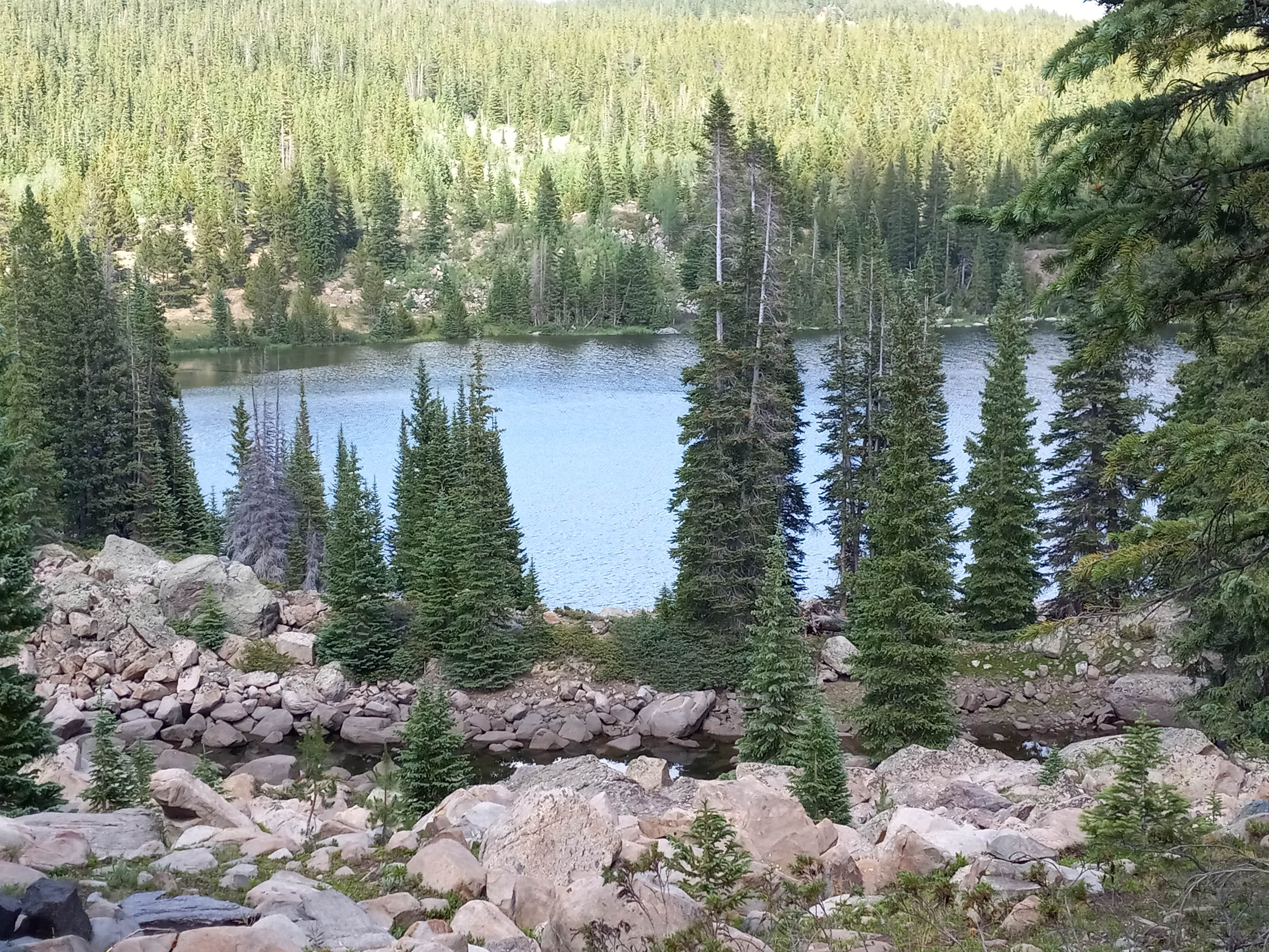 Greg P.'s photo of a dispersed camping area at Bear Lake Backpack Site near Minturn, CO