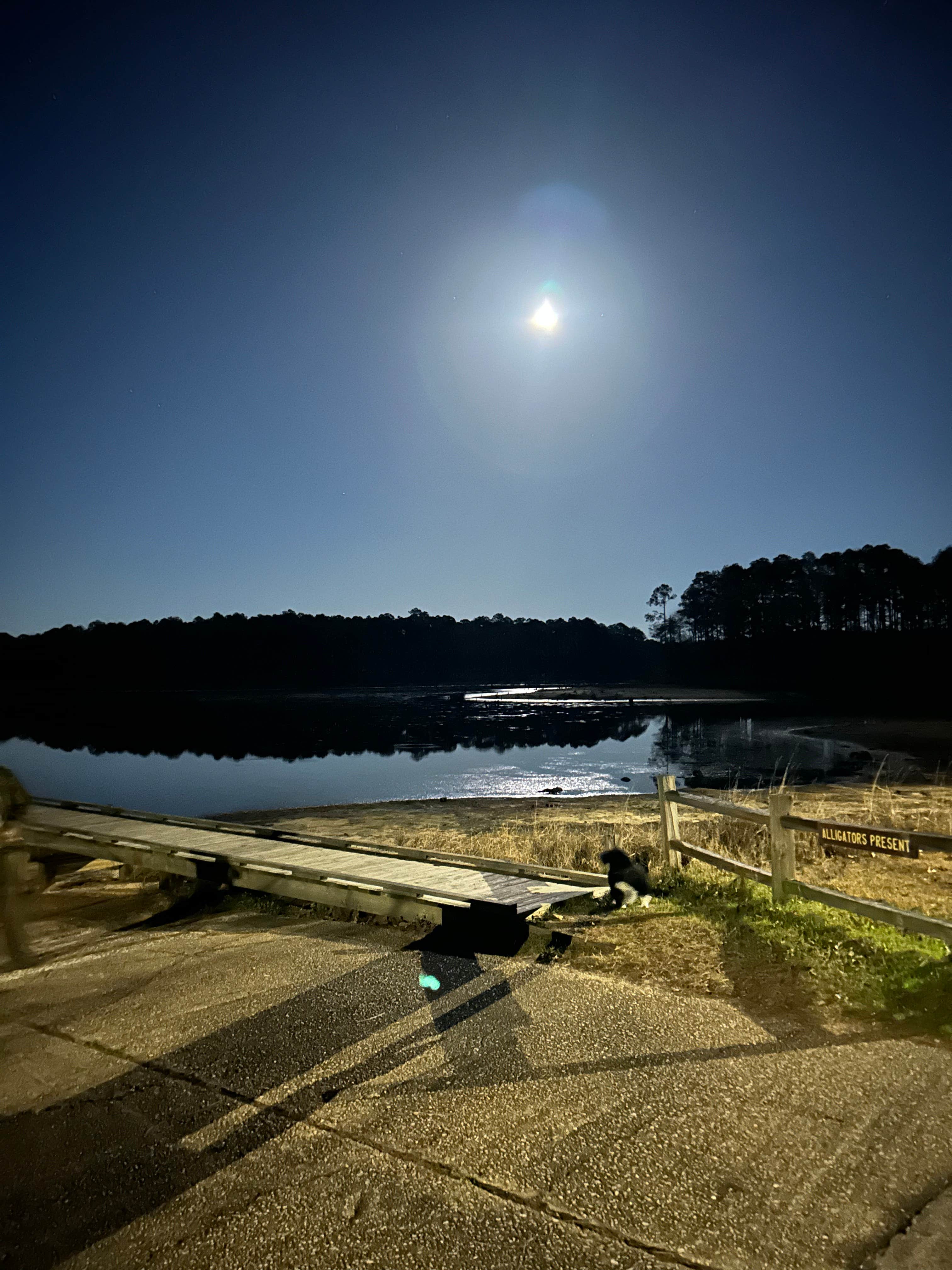 Donna G.'s photo of camping with pets at Bear Lake Campground near Crestview, FL